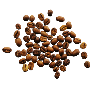 Coffee beans PNG image-9280